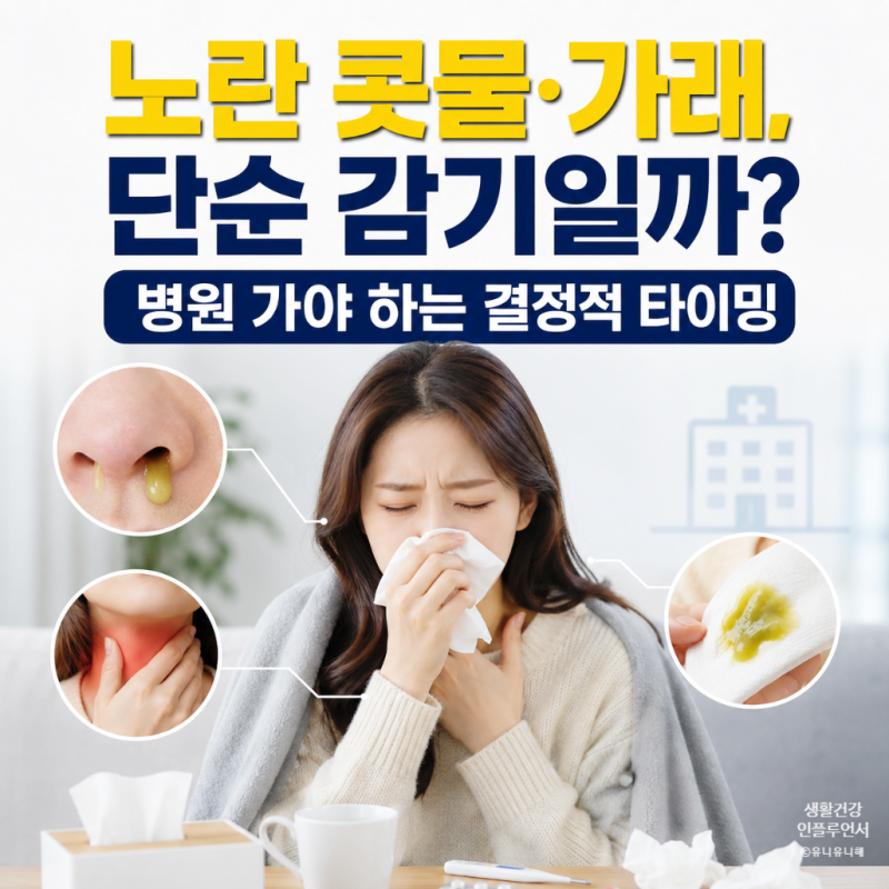 노란콧물에 가래 기침? 단순 감기증상인지 확인하는 방법과 병원 가는 기준