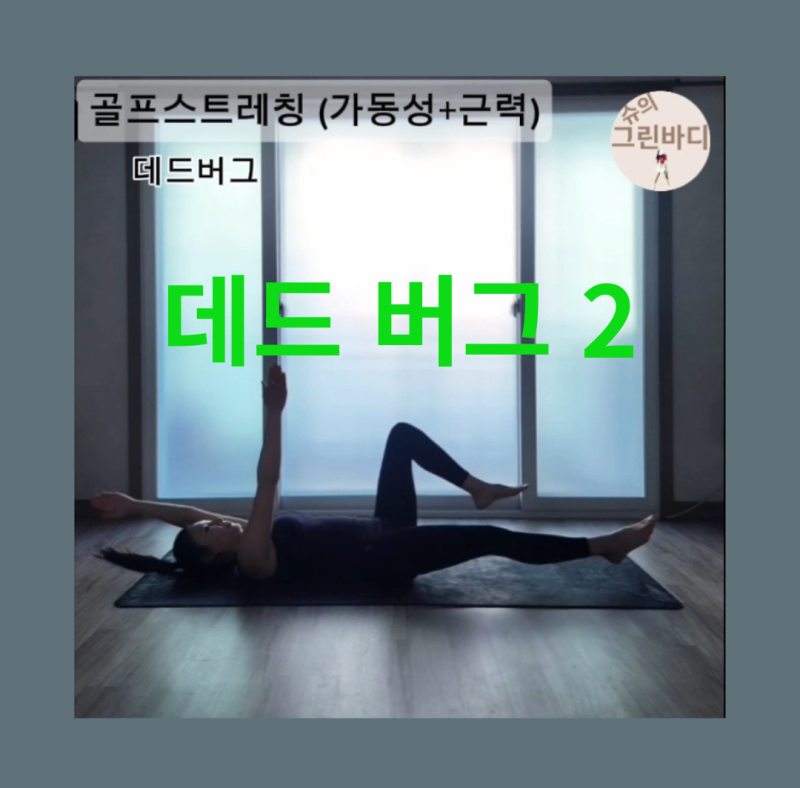 골프코어운동 데드버그 2 흔들리지 않는 코어가 비거리와 방향성을 결정한다
