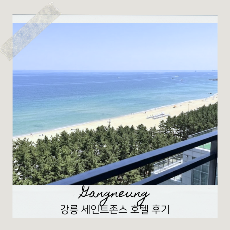 강릉 세인트존스 호텔 수영장 가격 객실 비교 할인 후기