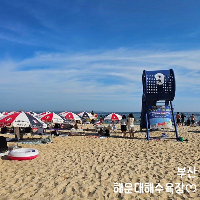 [부산] 해운대 해수욕장 개장기간 시간 파라솔 대여요금 물 차가움 주의