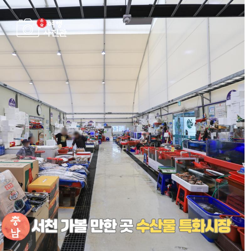 충남 서천 여행 가볼 만한 곳 서천수산물특화시장