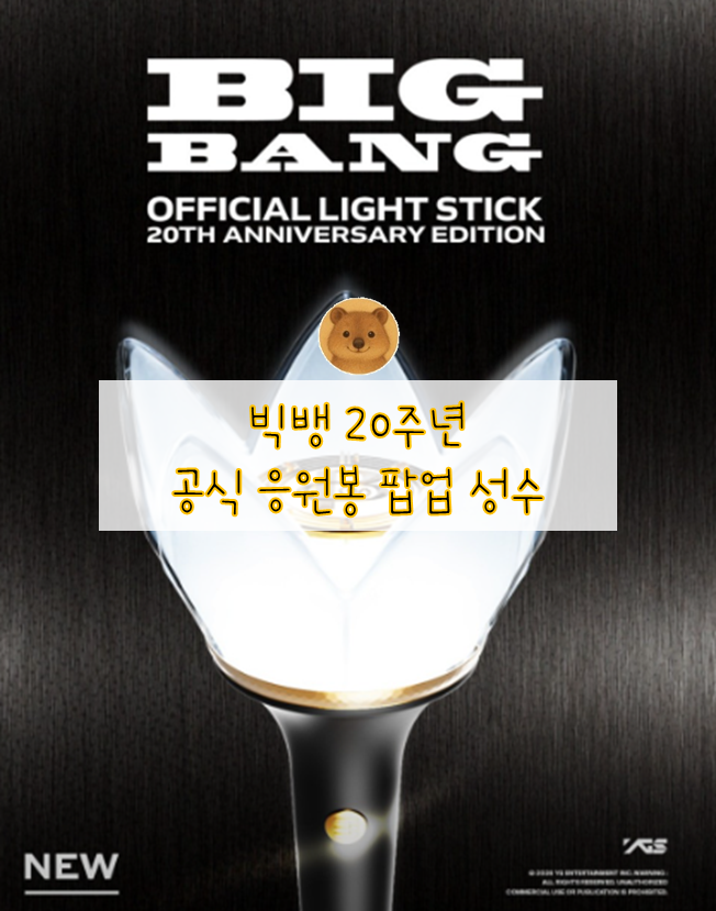 VIP 필수 코스! <b>빅뱅 20주년</b> 공식 응원봉 팝업성수, 명동 총정리 (기간....