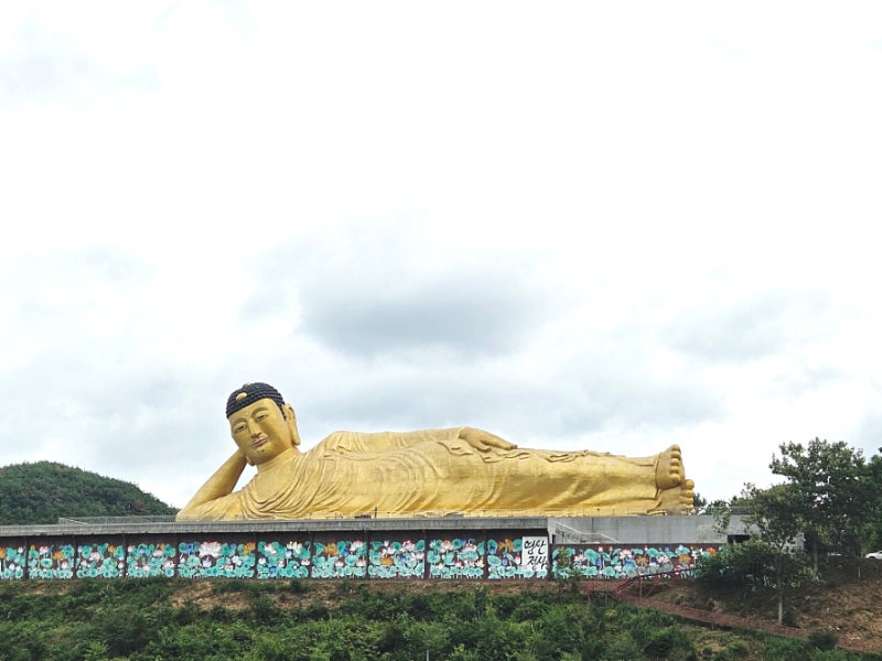 밀양 가볼만한 곳 - 영산정사 성보박물관 세계최대 와불상, 밀양위양지 산책로