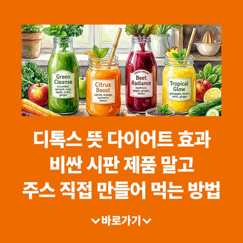 디톡스 뜻 다이어트 효과 비싼 시판 제품 말고 주스 직접 만들어 먹는 방법