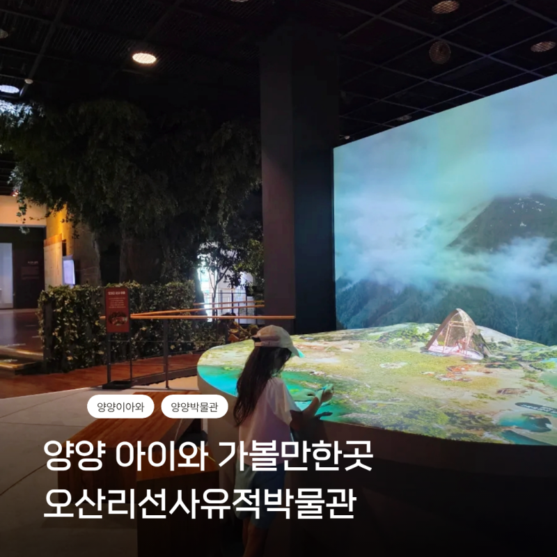 양양 아이와 가볼 만한 곳｜오산리선사유적박물관 신석기시대 박물관 후기