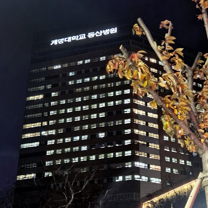 대구 동산병원 자궁근종 수술 후기 (4) 수술후 회복기간 통증 외래 로봇수술비 보험 실비 청....
