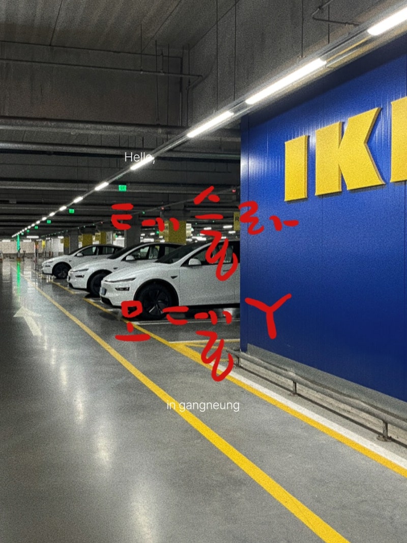 [테슬라 모델Y] 드디어 출고! 광명 인도장 픽업 후기 (신차 검수/운영시간 꿀팁/젠그레이 시트....