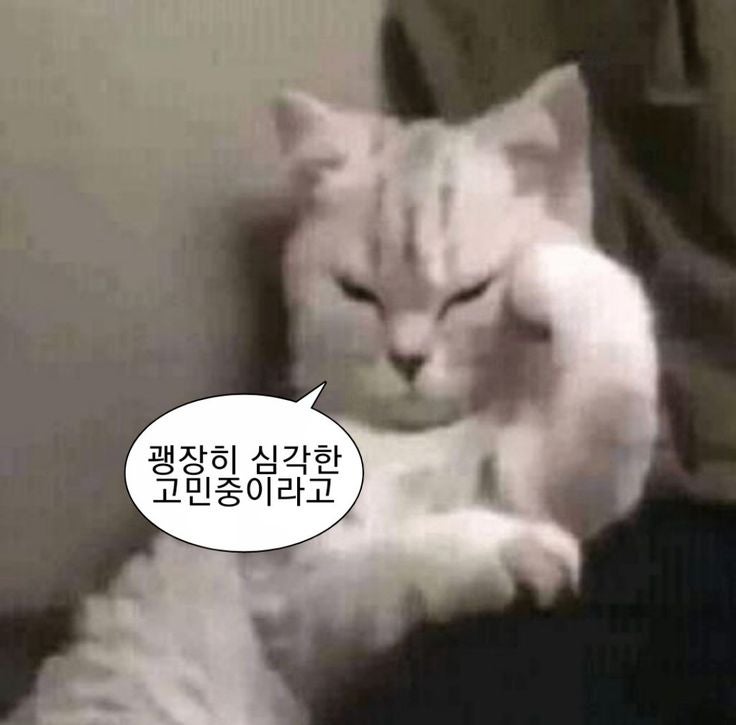 오션월드 얼리파크인 vs 오션패스 | 2인 기준 뭘 사야 이득일까 (가격·횟수·대기 비교)