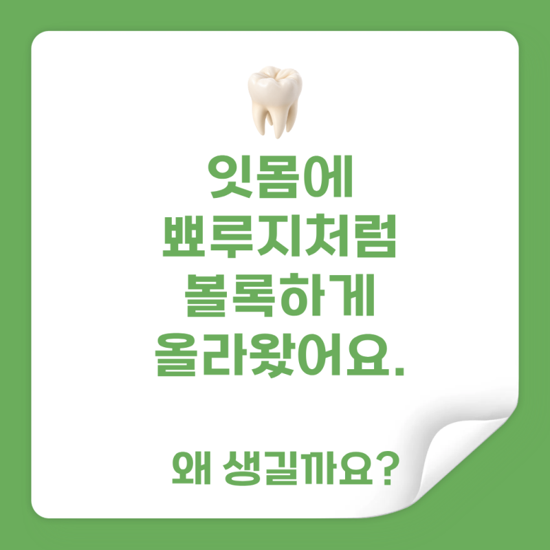 잇몸에 뾰루지처럼 볼록하게 올라왔어요. 왜 생길까요?