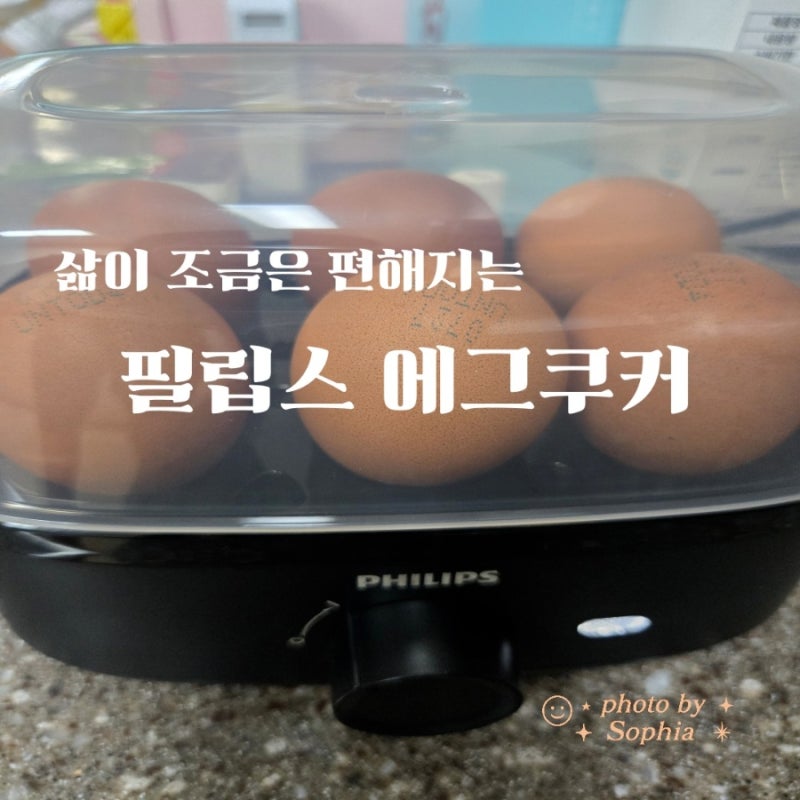 필립스 에그쿠커, 삶은 계란 간편하게 만드는 전기에그쿠커 사용 후기