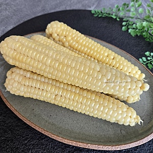찰옥수수 삶는 법 옥수수 찌는 법 압력솥 옥수수 삶기