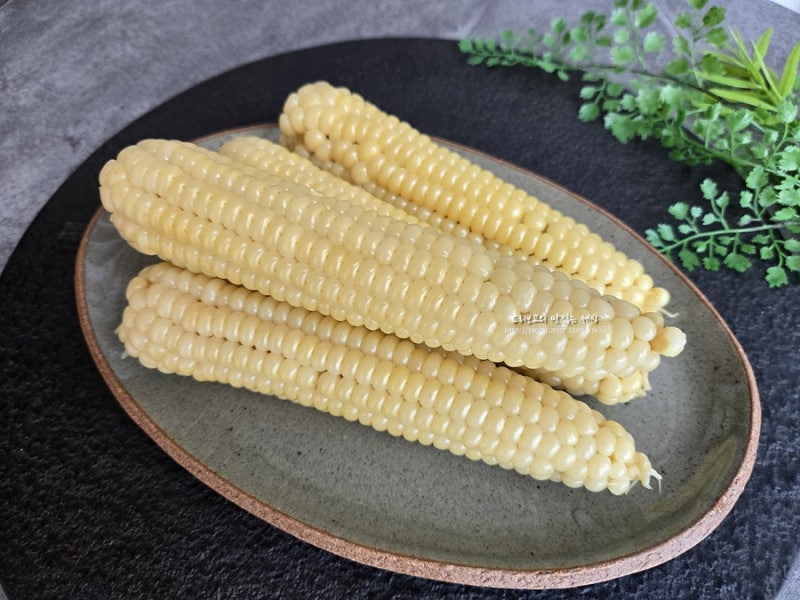 찰옥수수 삶는 법 옥수수 찌는 법 압력솥 옥수수 삶기