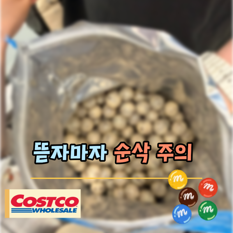 "없어서 못 팝니다" 지금 코스트코 가면 카트에 담아야 하는 초콜릿