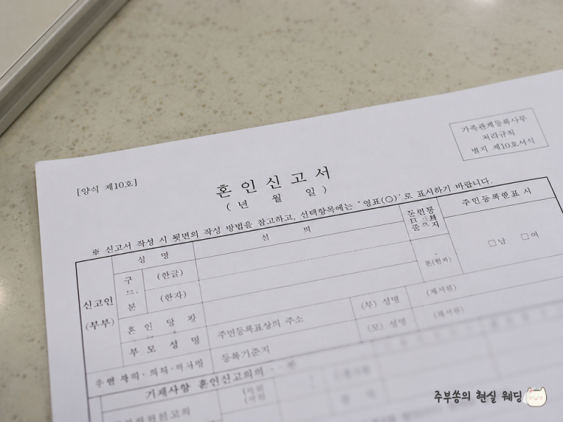 혼인신고 장소 주민센터 아니에요! 준비물부터 증인 2명까지 총정리