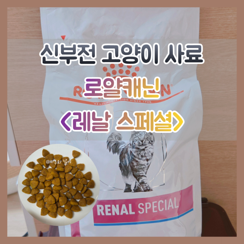 고양이 신부전 사료 고민이라면? 레날 스페셜 ● 급여 후기 (feat. 신장 사료의 모....