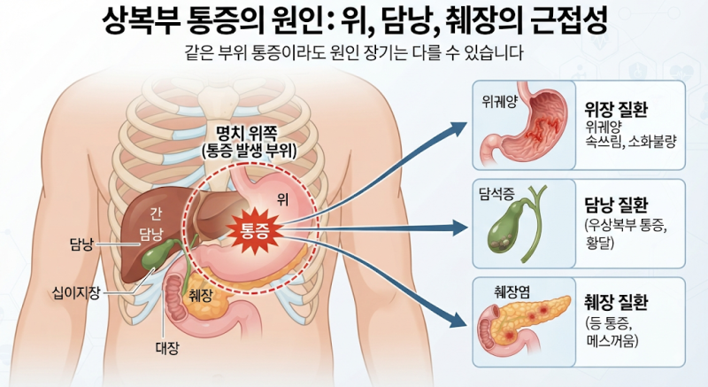 정평 내과, 상복부 통증은 위 문제일까 담낭·췌장 문제일까?