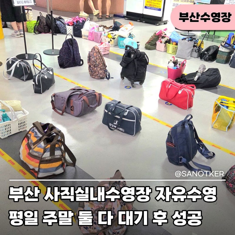 부산 사직실내수영장 자유수영 후기, 평일 주말 가격 주차장