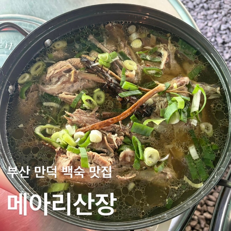 [부산/만덕] 오리백숙 여름 몸보신 맛집 메아리산장