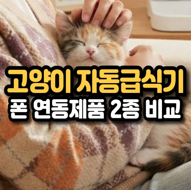 고양이 자동급식기 추천 비교 - 펫지니 vs 헤이홈 선택 기준은 이것!