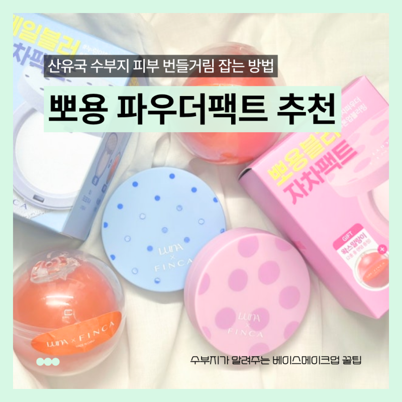 메이크업 지속력엔 파우더팩트 필수! 올리브영추천템 루나 포토 피니셔 파우더 팩트 핀카콜....