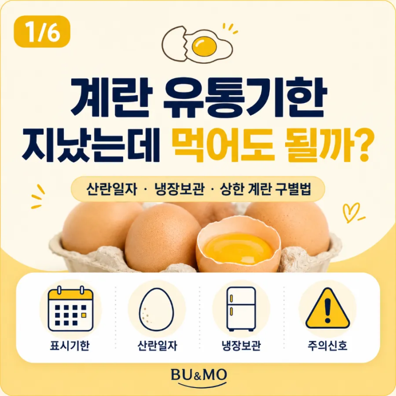 계란 유통기한 지났는데 먹어도 될까? 산란일자·냉장보관·상한 계란 구별법