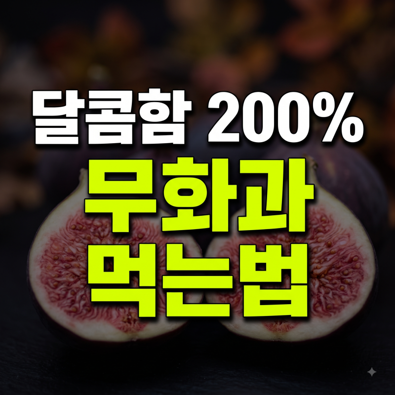 가을 제철 무화과 맛있게 먹는법 5가지 세척 보관법 및 효능 총정리