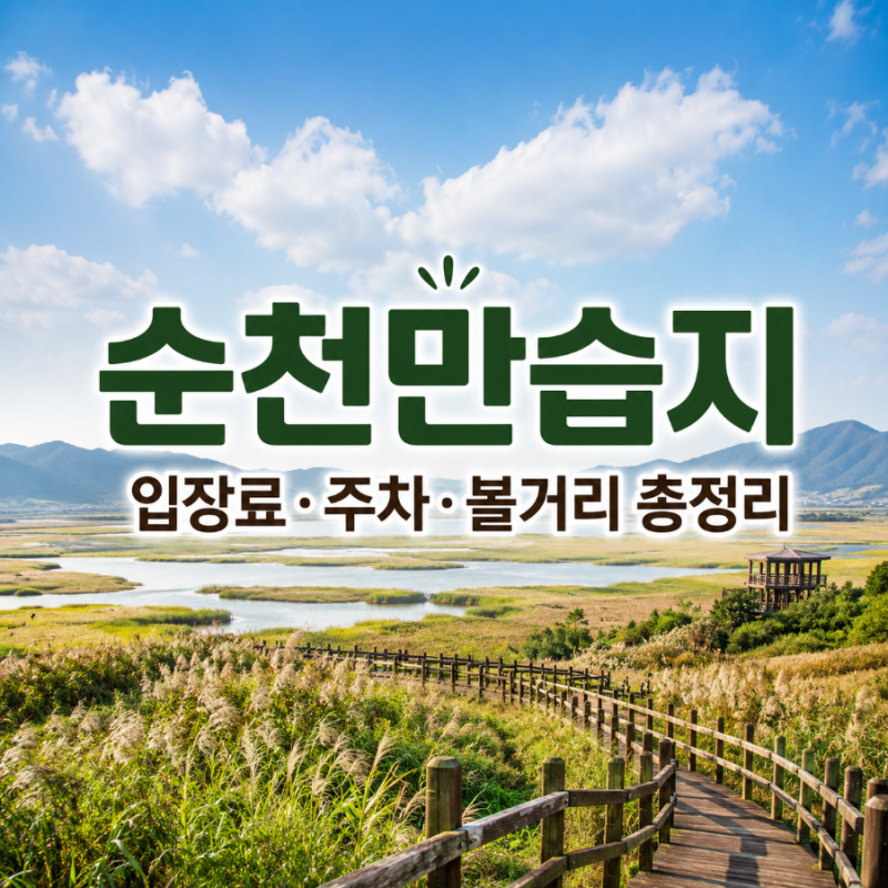 순천만습지 입장료 주차 운영시간, 용산전망대까지 총정리