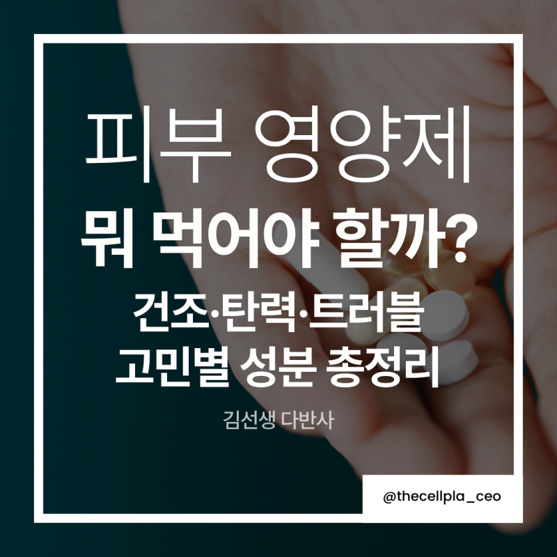 피부 영양제 뭐 먹어야 할까? 건조·탄력·트러블 고민별 성분 총정리