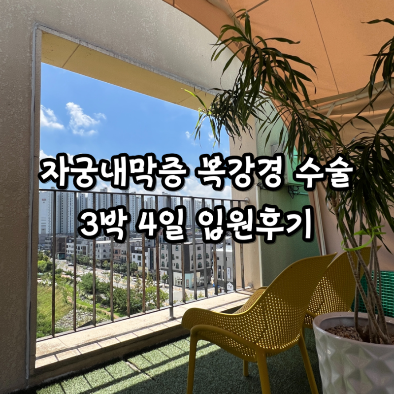 천안 앙즈로여성병원 자궁내막증 복강경 수술 3박 4일 입원 후기