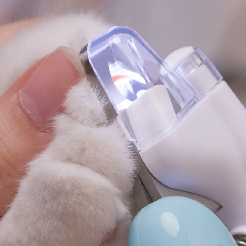 모노치 LED 강아지 발톱깎이 혈관 걱정 안전하게 해결