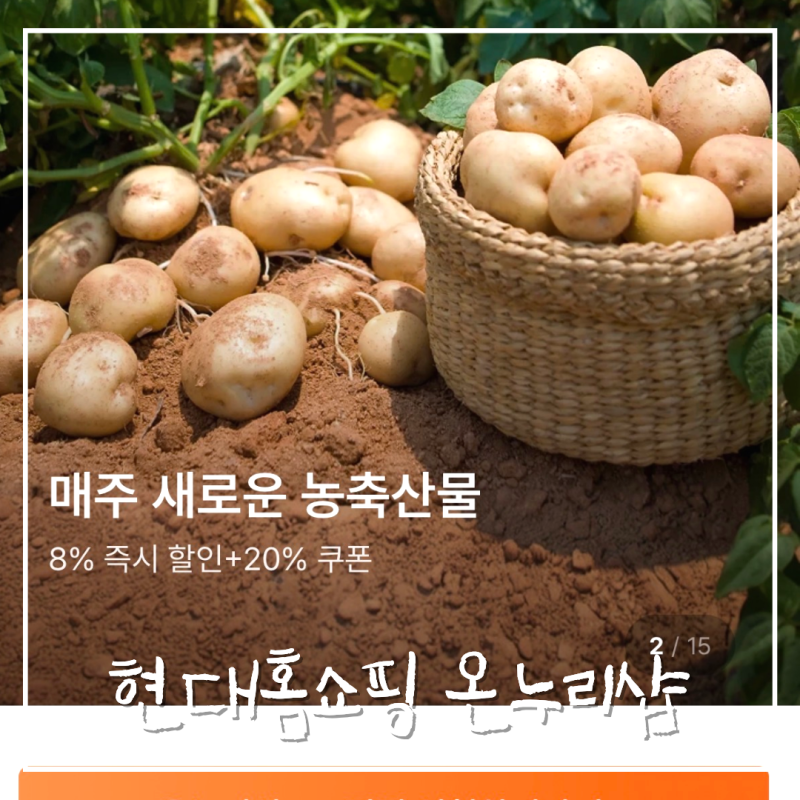 현대홈쇼핑 온누리샵 디지털온누리 사용처 찾는다면 여기서 장보기