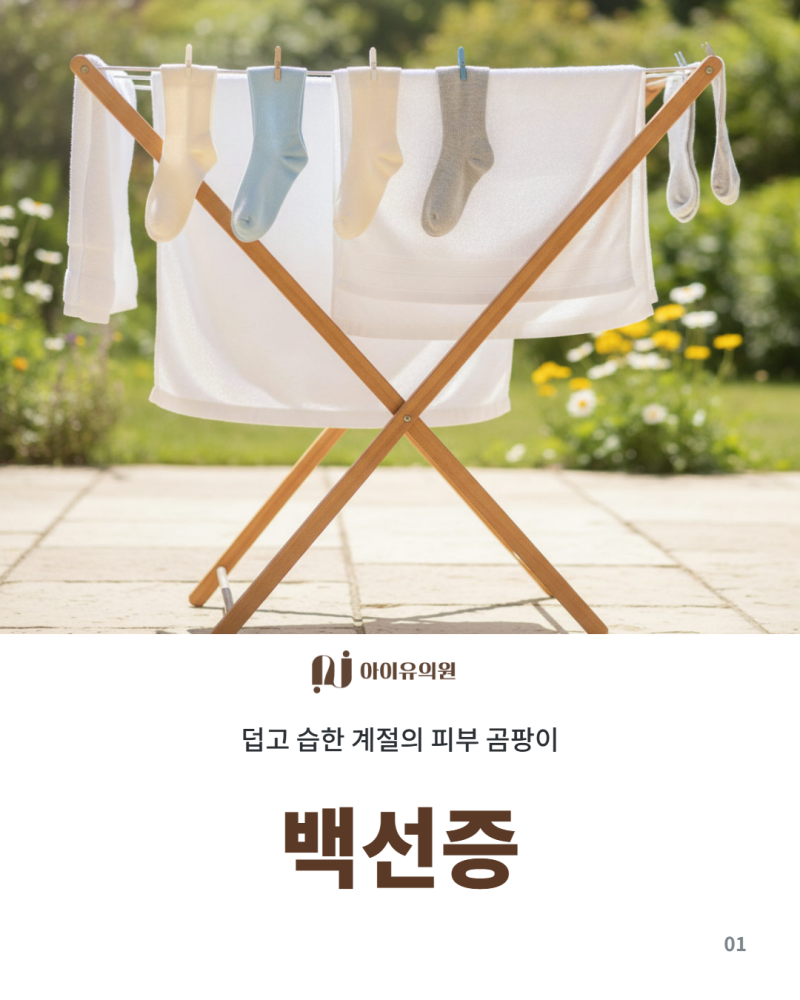 여름철 피부 곰팡이 감염(백선증), 증상과 생활 관리