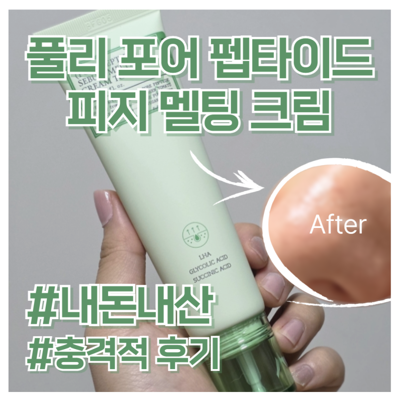 풀리 포어 펩타이드 피지 멜팅 크림 내돈내산 모공 관리 찐추천템