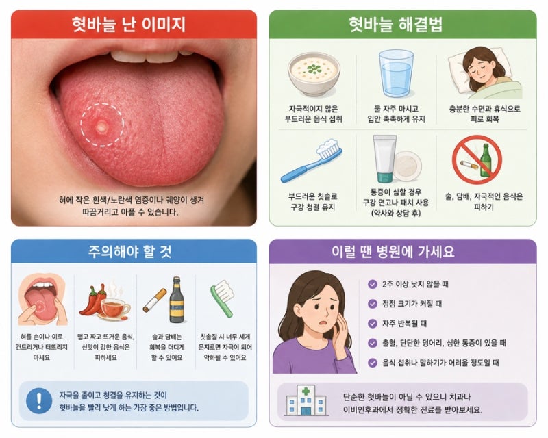 혓바늘 왜 생길까? 원인부터 빨리 없애는 법까지 총정리