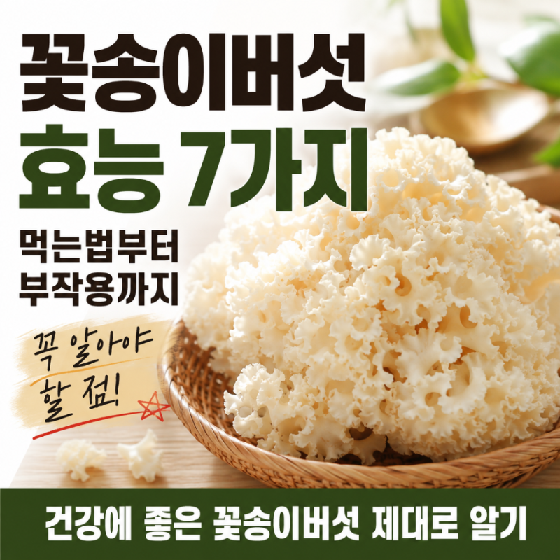 꽃송이버섯 효능 7가지, 먹는법부터 부작용까지 꼭 알아야 할 점