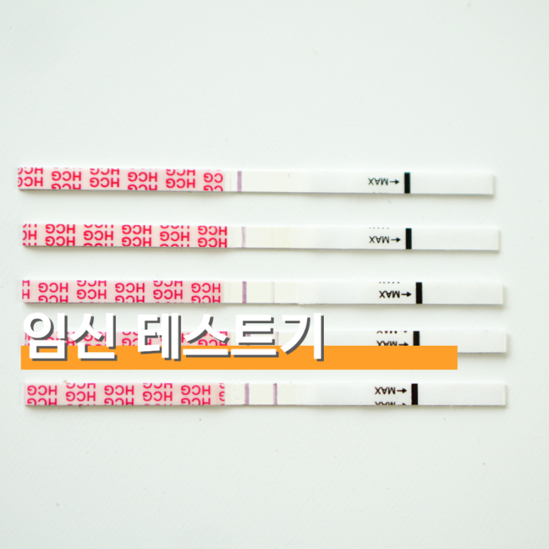 임신테스트기 사용시기 사용법 정확도 희미한 두줄 해석