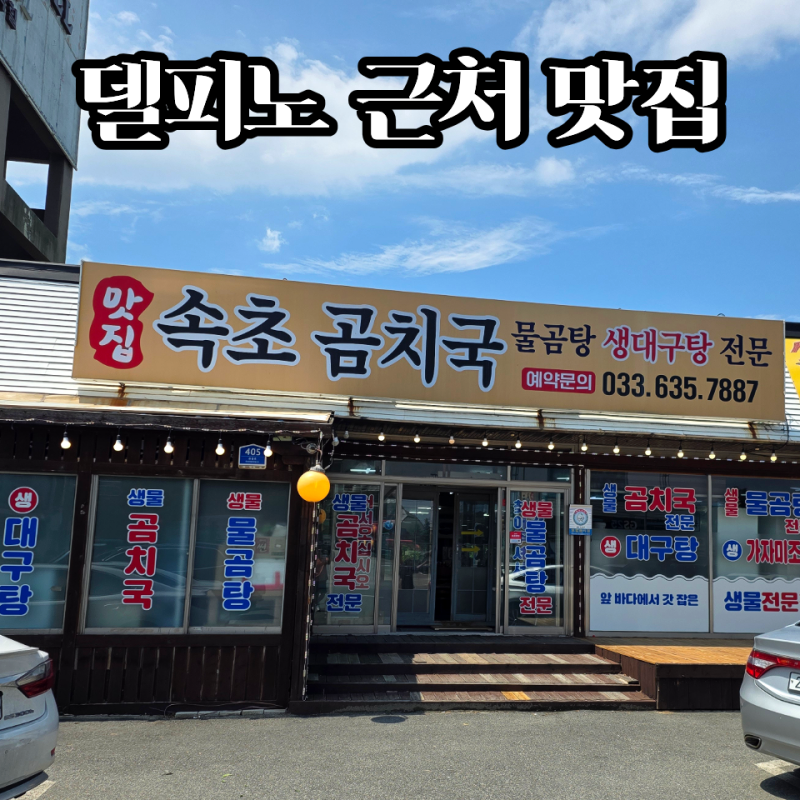 고성 속초 곰치국 맛집 후기 | 델피노 맛집으로 생물 물곰탕 해장으로 최고