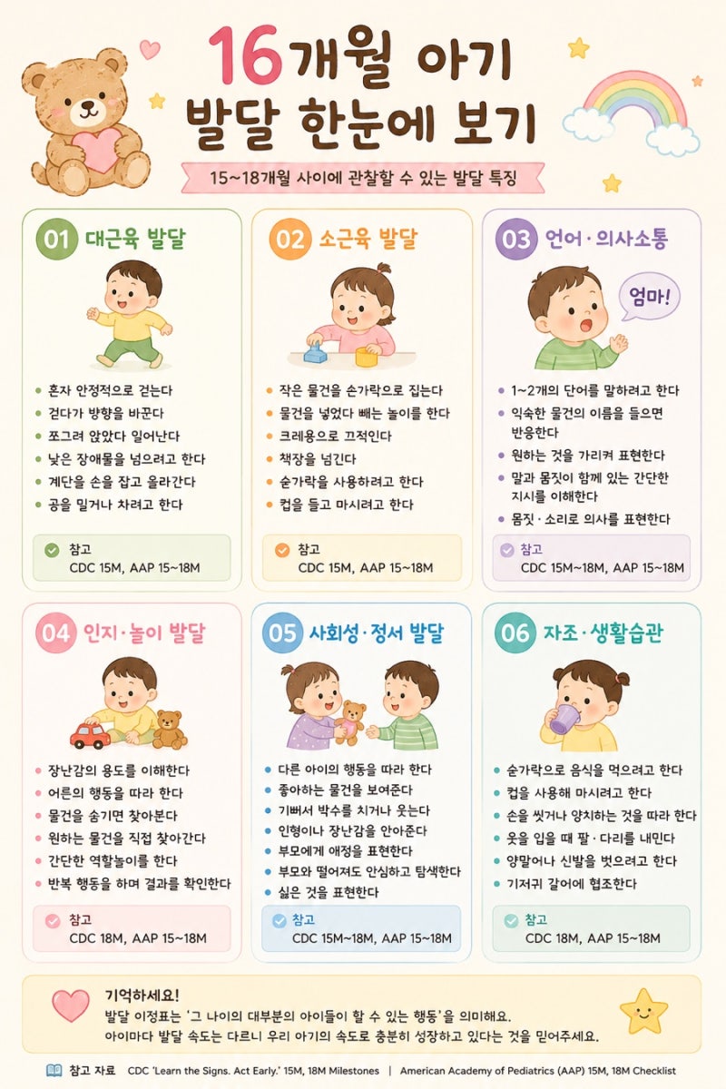 16개월 아기 발달표, 14개월에서 16개월 우리 아기는 얼마나 컸을까?