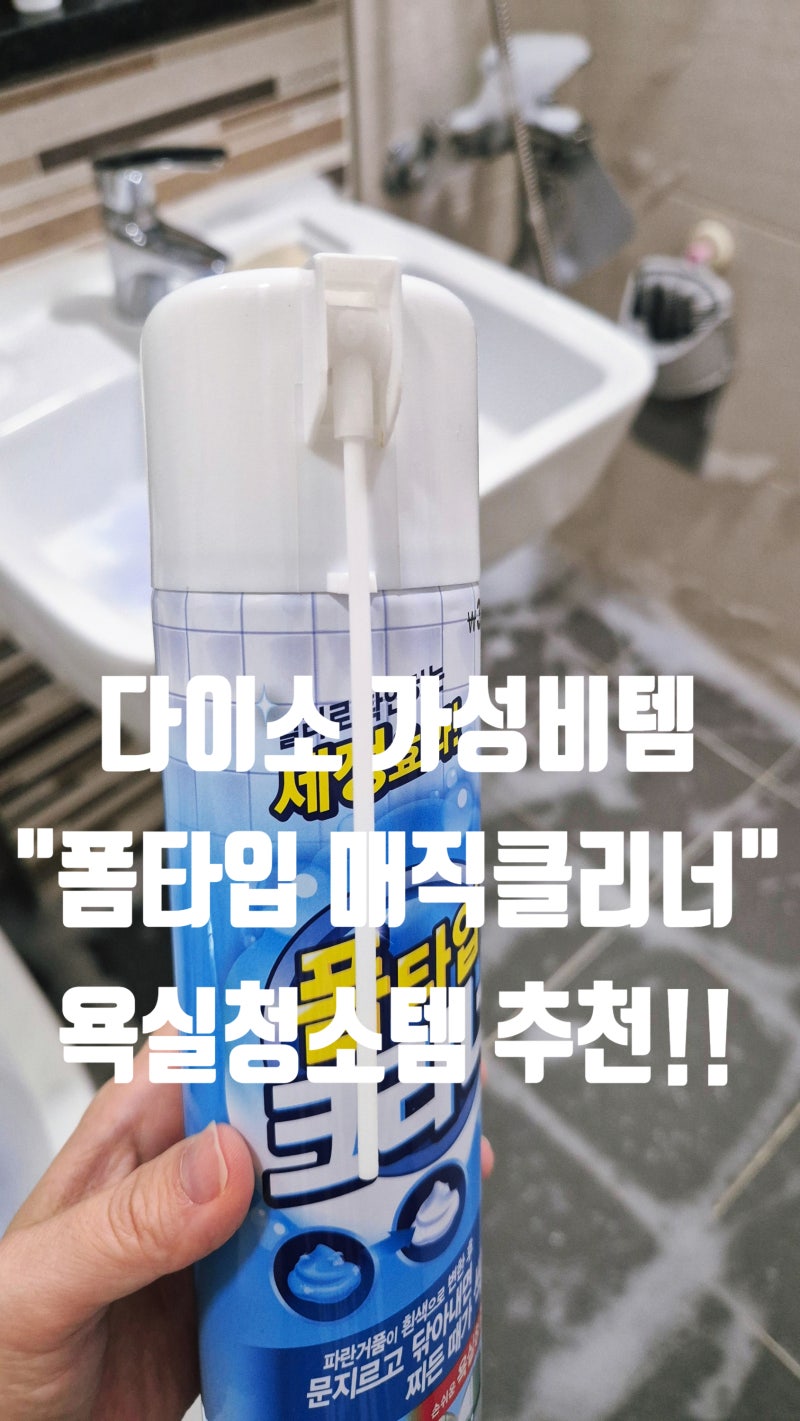 [다이소-욕실 청소템] 나혼자산다 방송보고 궁금해진 욕실청소템/폼타입 매직클리너/내돈내....