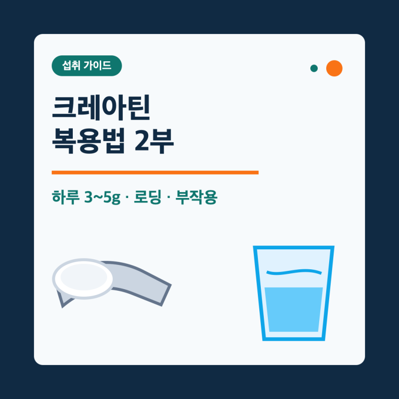 크레아틴 복용법 2부｜하루 3~5g·로딩·부작용·제품 고르는 법