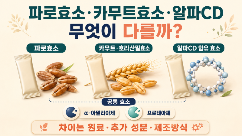 파로효소·카무트효소·알파CD 효소, 무엇이 다를까?