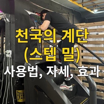 일광헬스장 트랩밀 천국의 계단 올바른 사용법 운동효과