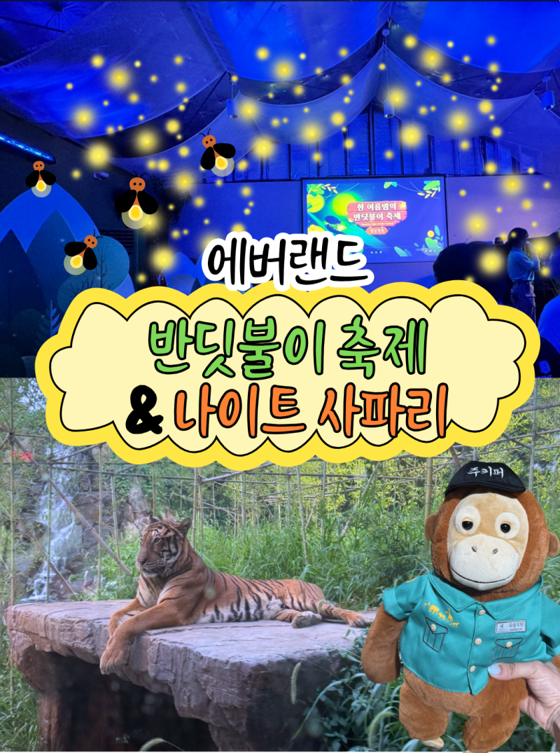 [용인]에버랜드_반딧불이 축제, 나이트 사파리, 로스트밸리 (잘 보이는 자리 꿀팁!)