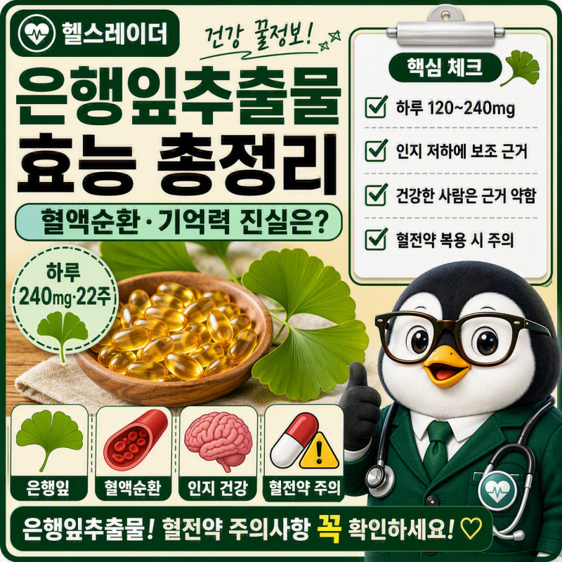 은행잎추출물(징코) 효능 총정리 (혈액순환·기억력·용량·주의사항)