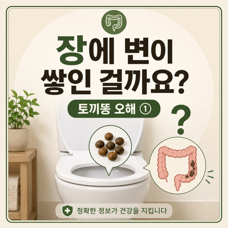 토끼똥이 계속 나오면 장에 변이 쌓인 걸까요? 오해 5가지