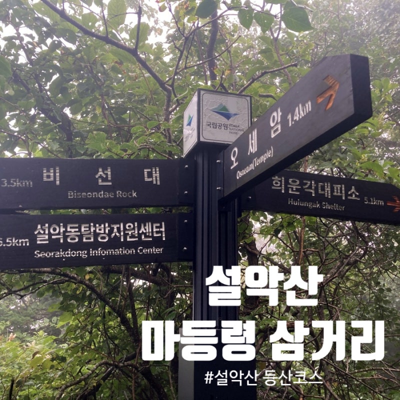 설악산 당일 등산코스 소공원 비선대 마등령 삼거리 난이도 입산 제한 소요시간