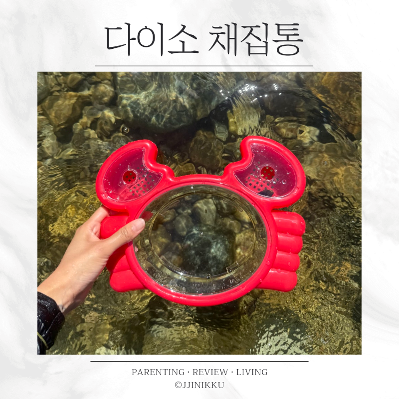 다이소 다슬기 채집통 3천원 후기 아이 계곡 물놀이 준비물로 써보니