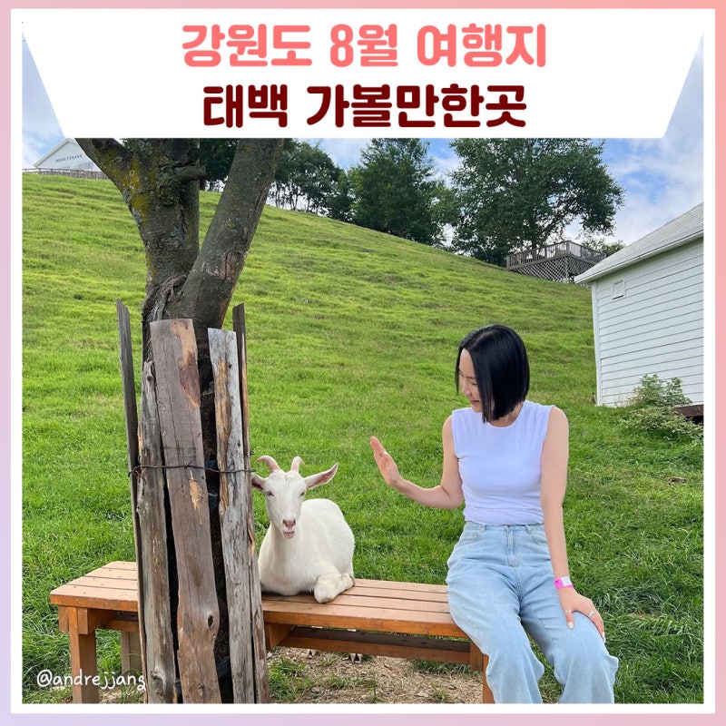 강원도 8월 여행지 추천! 태백 가볼만한곳 [강원도 가볼만한곳]