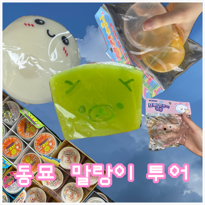 동묘 완구거리 말랑이 쇼핑 투어 후기｜느좋 말랑이 추천, 가격, 꿀팁, 가게추천, 위치