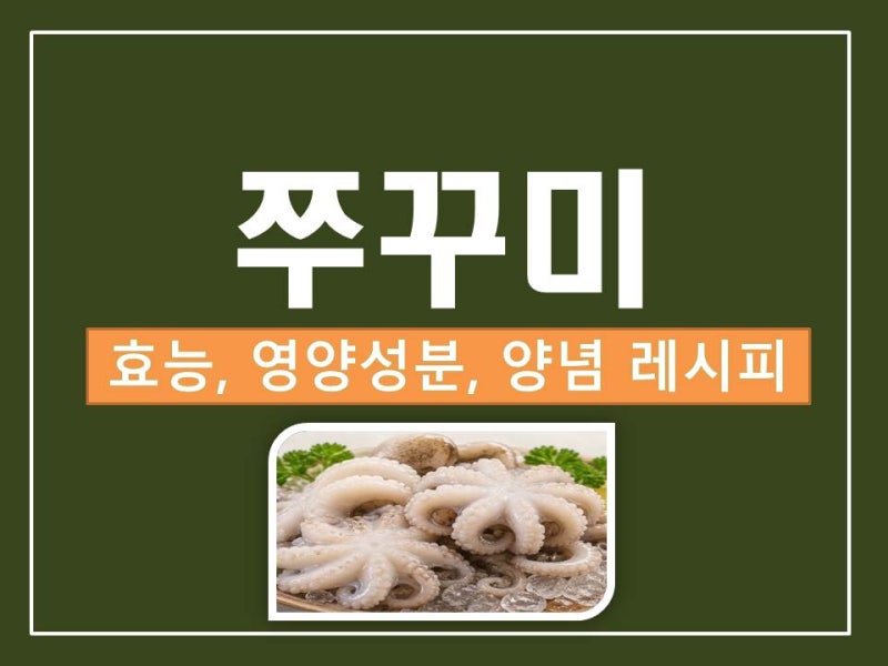 쭈꾸미 효능 및 영양 성분 총정리! 집에서 매콤한 볶음 요리 맛있게 하는 팁